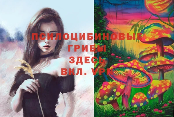 дживик Арсеньев