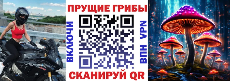 Псилоцибиновые грибы Psilocybe  hydra ТОР  Родники 